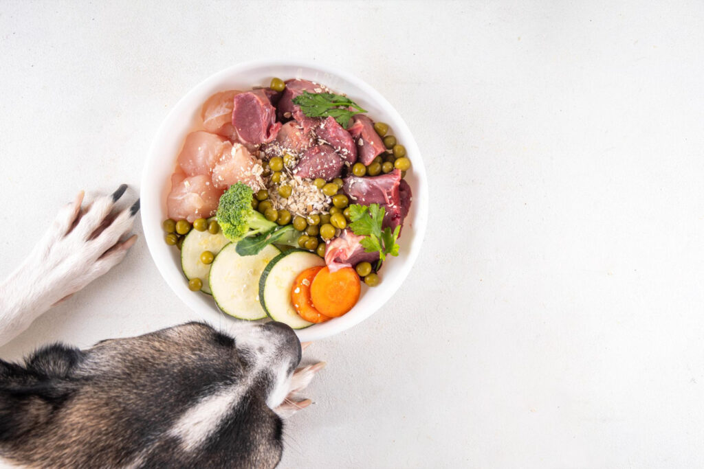 healthy dog food barf