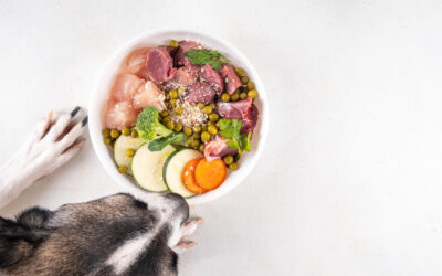 healthy dog food barf