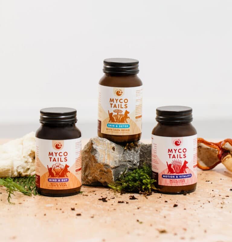 Medicinal Mushrooms